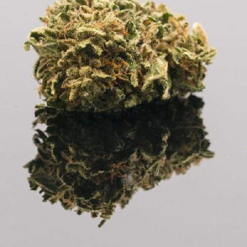 CANNATONIC CBD FLOWER - 1oz